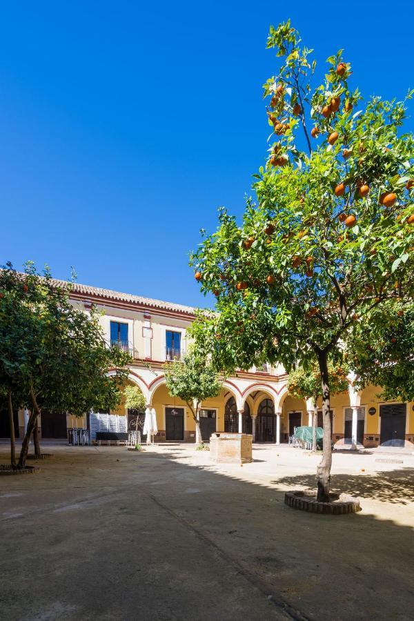 Apartamento Historico Garaje Y Wifi Sanlúcar de Barrameda Exterior foto